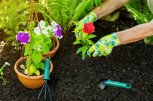 Gardening team working together in a community garden