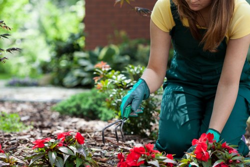 Volunteer reuse day with tools and plant pots for redistribution