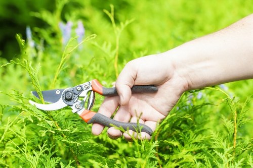 Close-up of hands using a braille label and tactile marker in a Highbury community garden