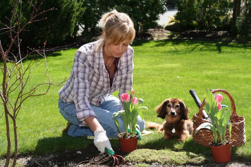 Volunteers and charity partners sorting reusable garden items